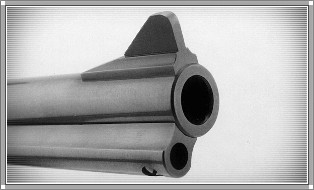 P400 Front Sight