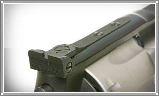 RC Target Sight